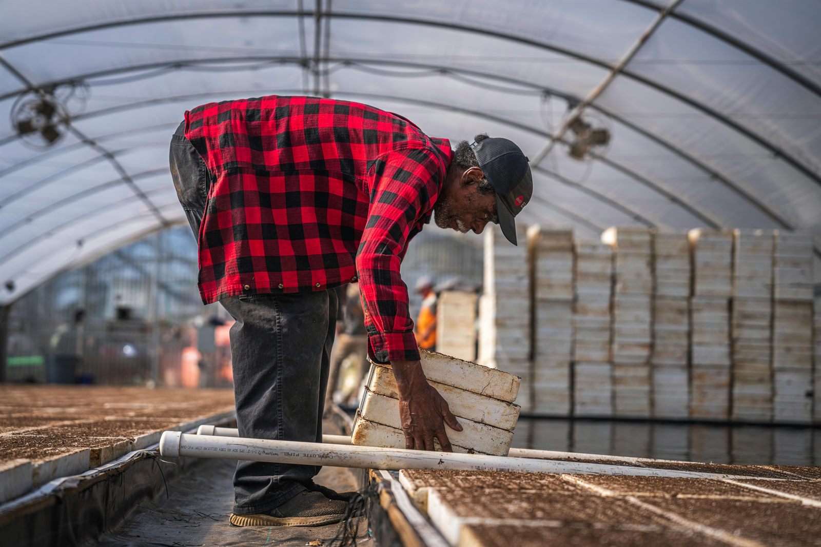 Travaux agricoles